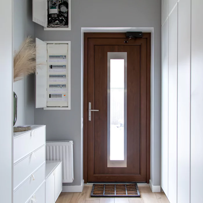 Light Wood Finish Flush Door