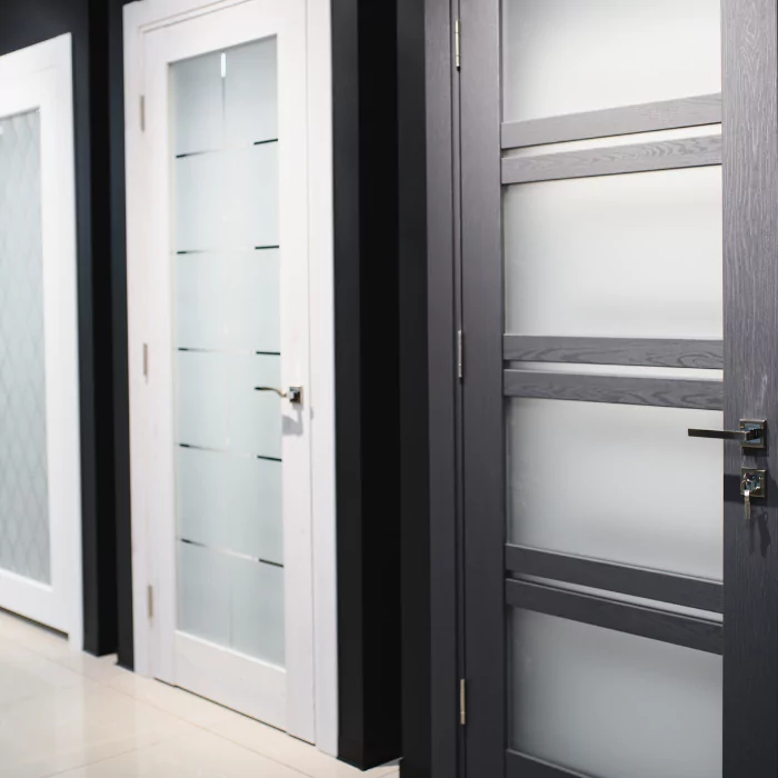 Premium Finish Flush Door